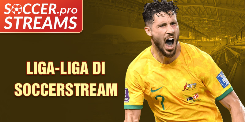 Liga-liga di Soccerstream